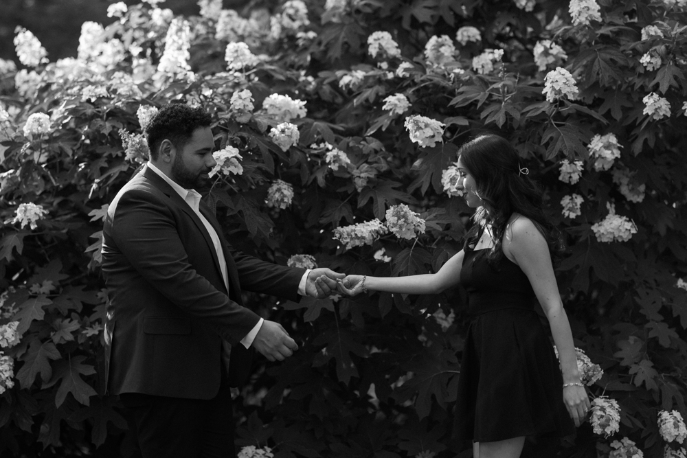 Devin and Jessica reaching for each other's hands beside a hydrangea hedge