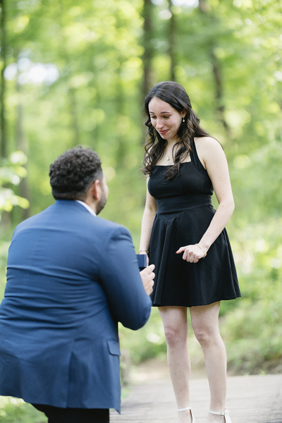 The Question — the proposal